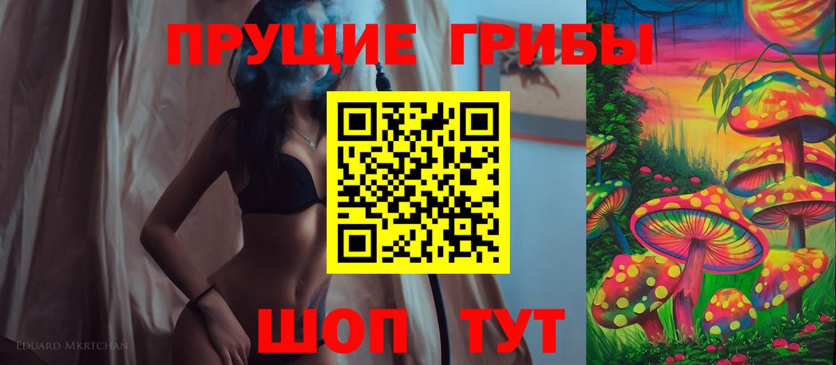 Ставрополь  Псилоцибиновые грибы прущие грибы  Вход с VPN 